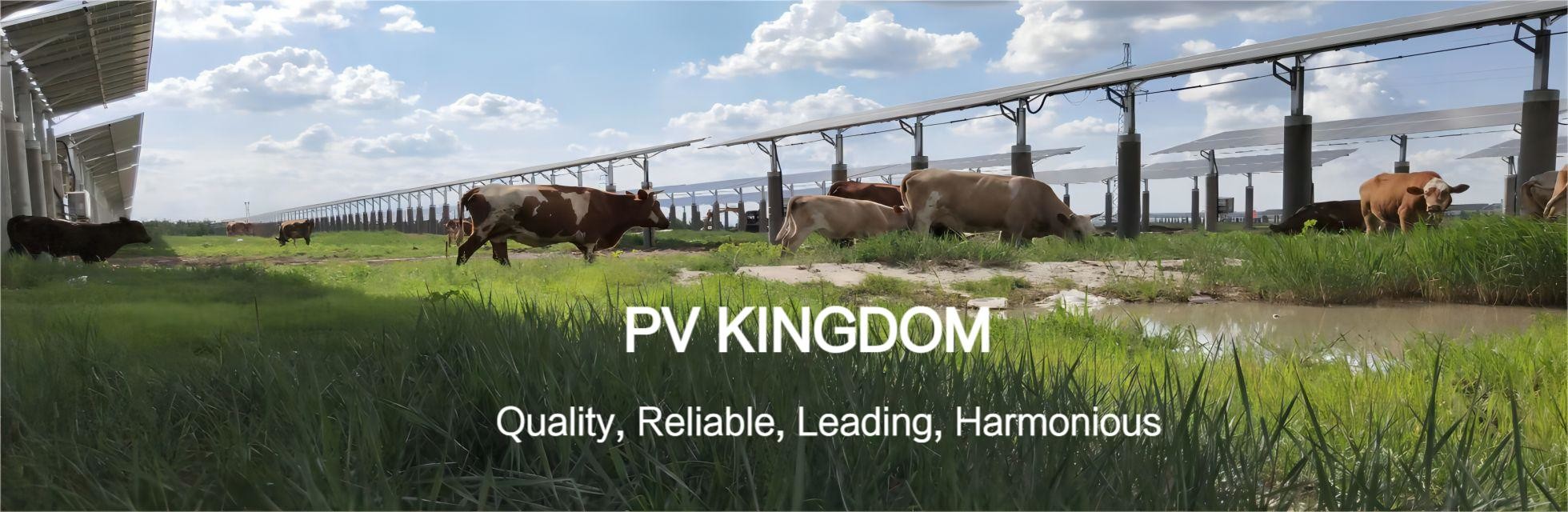 品質 屋根の太陽系 工場